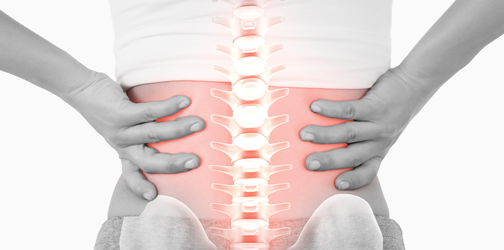 뒷쪽허리이미지