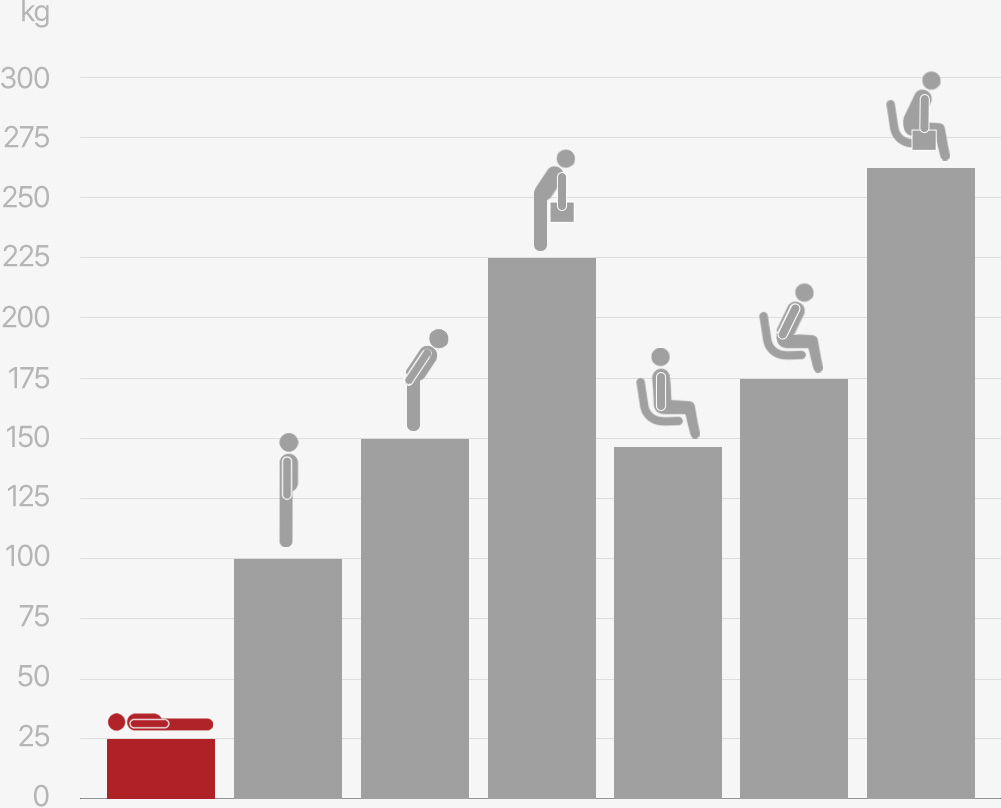 몸의 자세에 따른 부하를 알 수 있는 그래프 표 이미지
